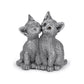 Kittens Kissing